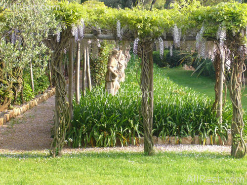 Hotel du Cap Eden-Roc 9